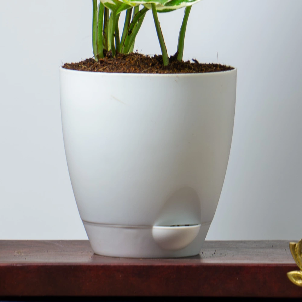 product-gallery