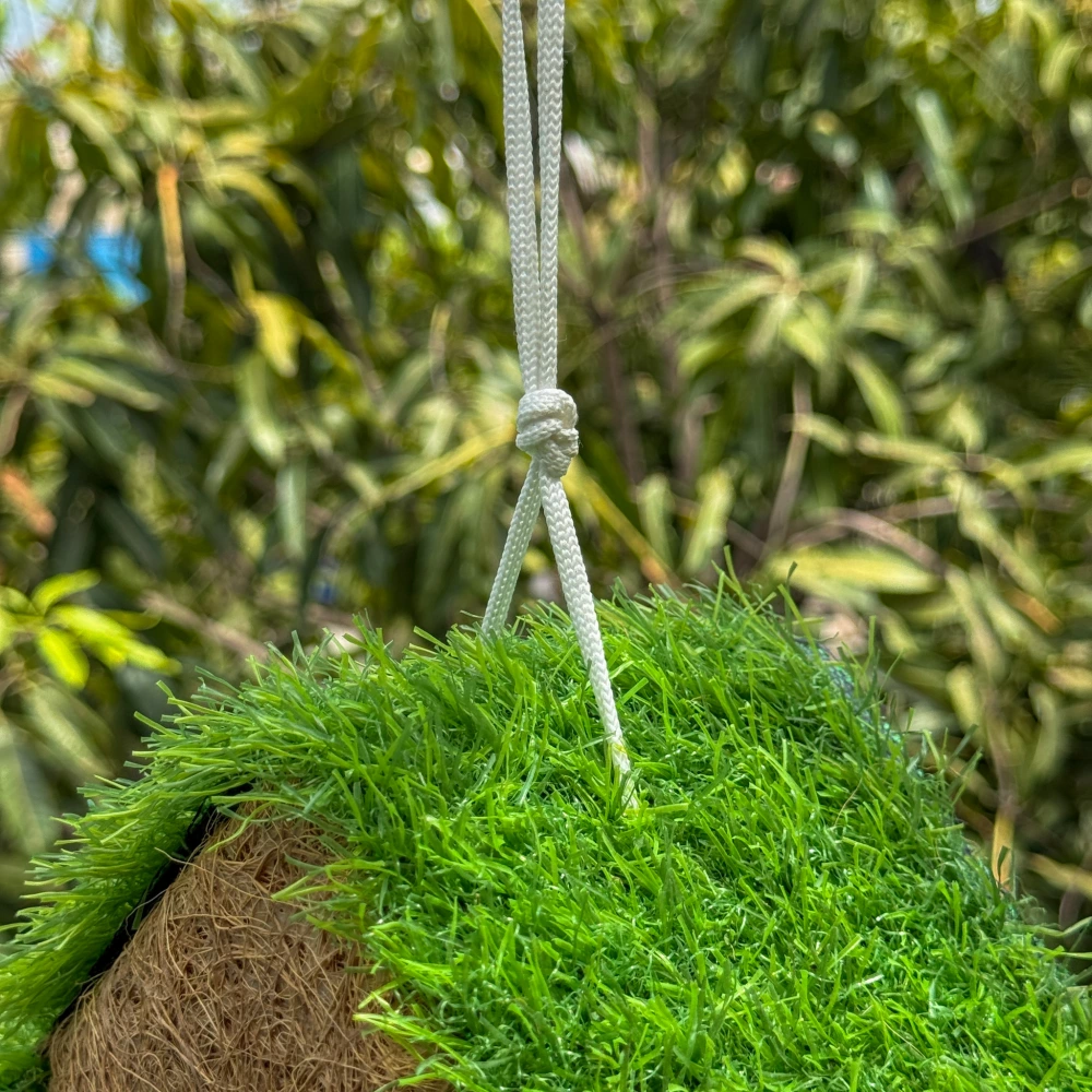 product-gallery