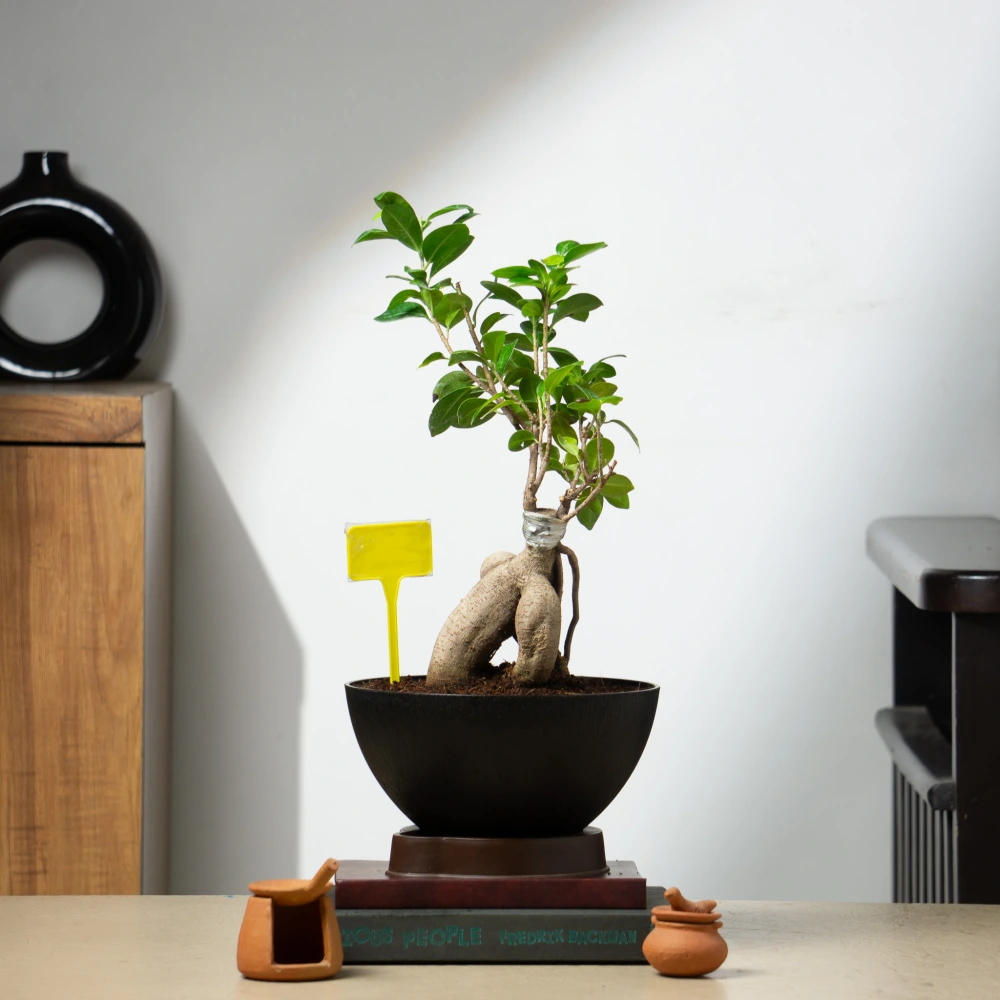product-gallery