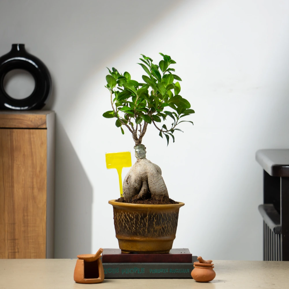 product-gallery