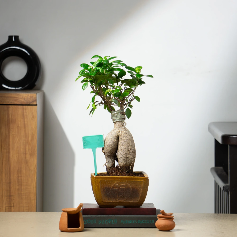 product-gallery
