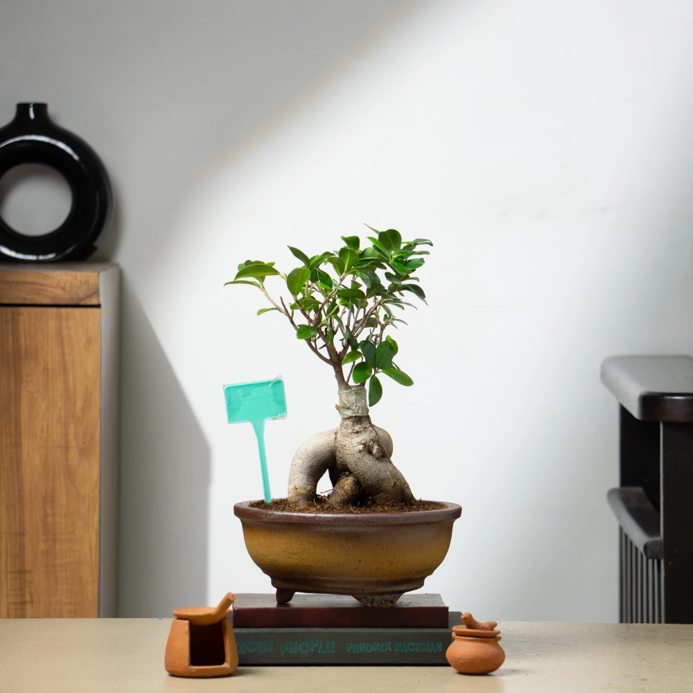 product-gallery