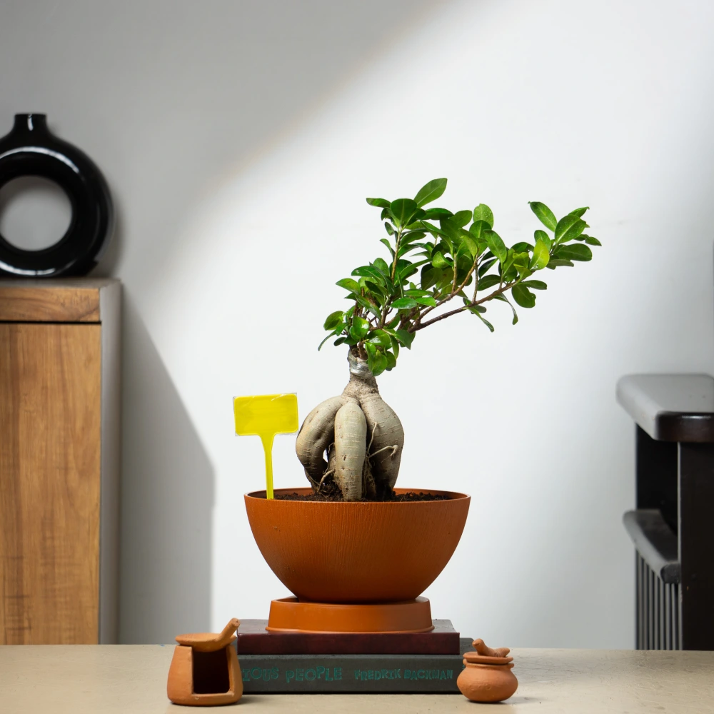 product-gallery