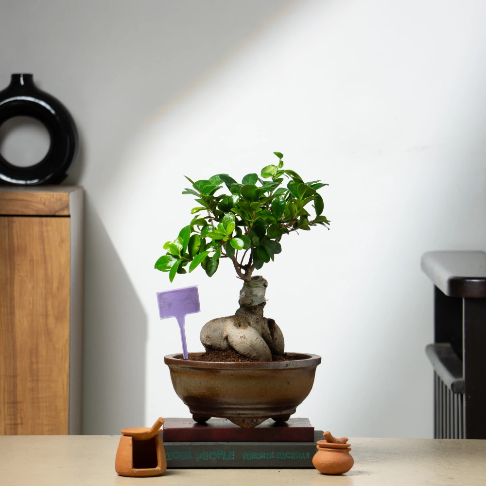 product-gallery