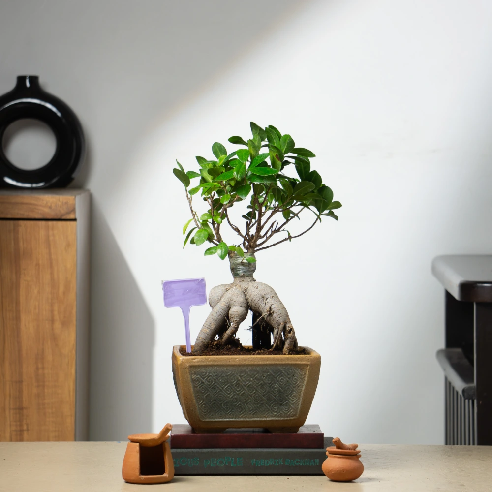 product-gallery