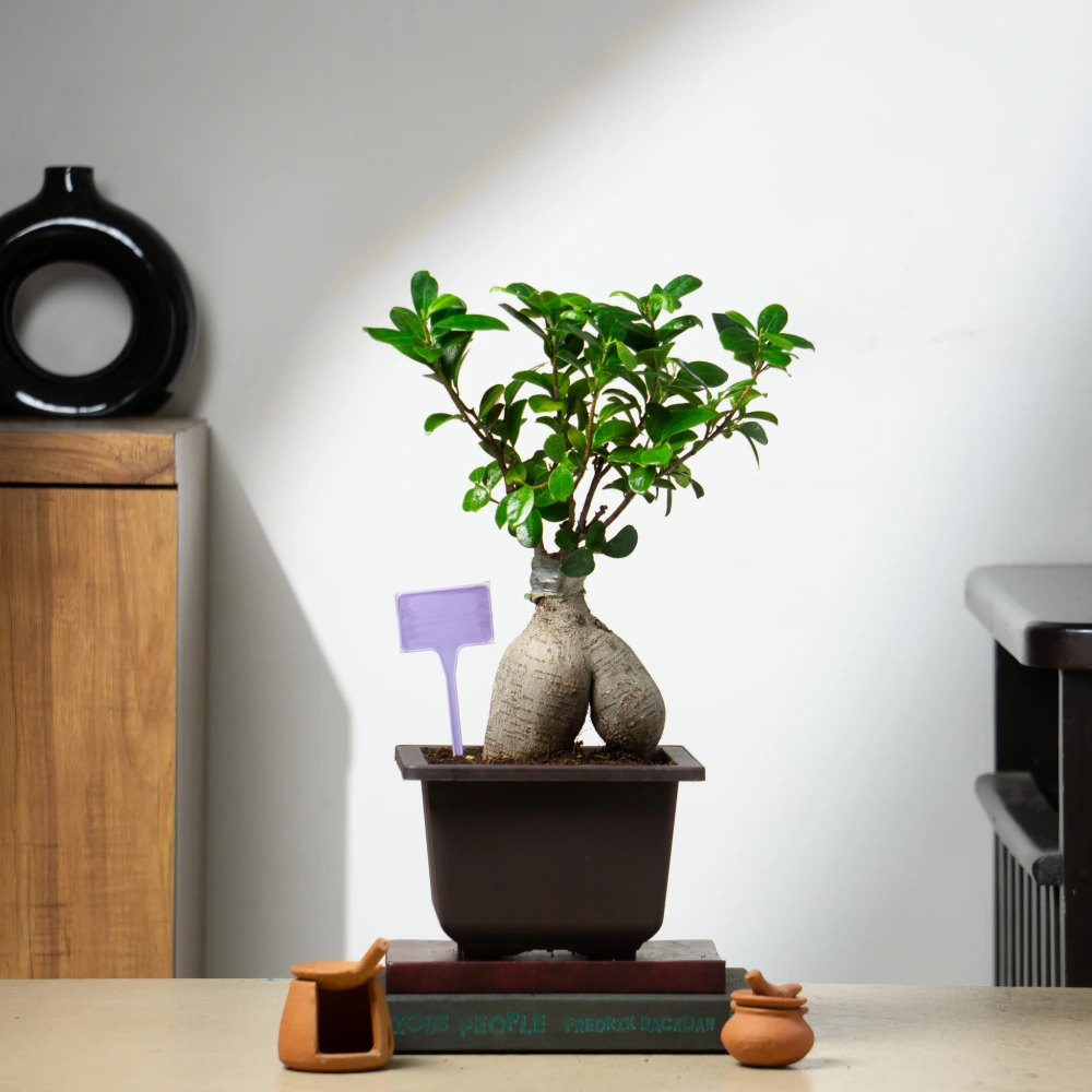 product-gallery