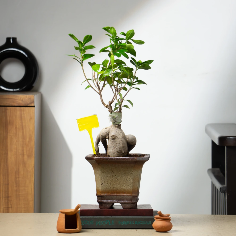 product-gallery