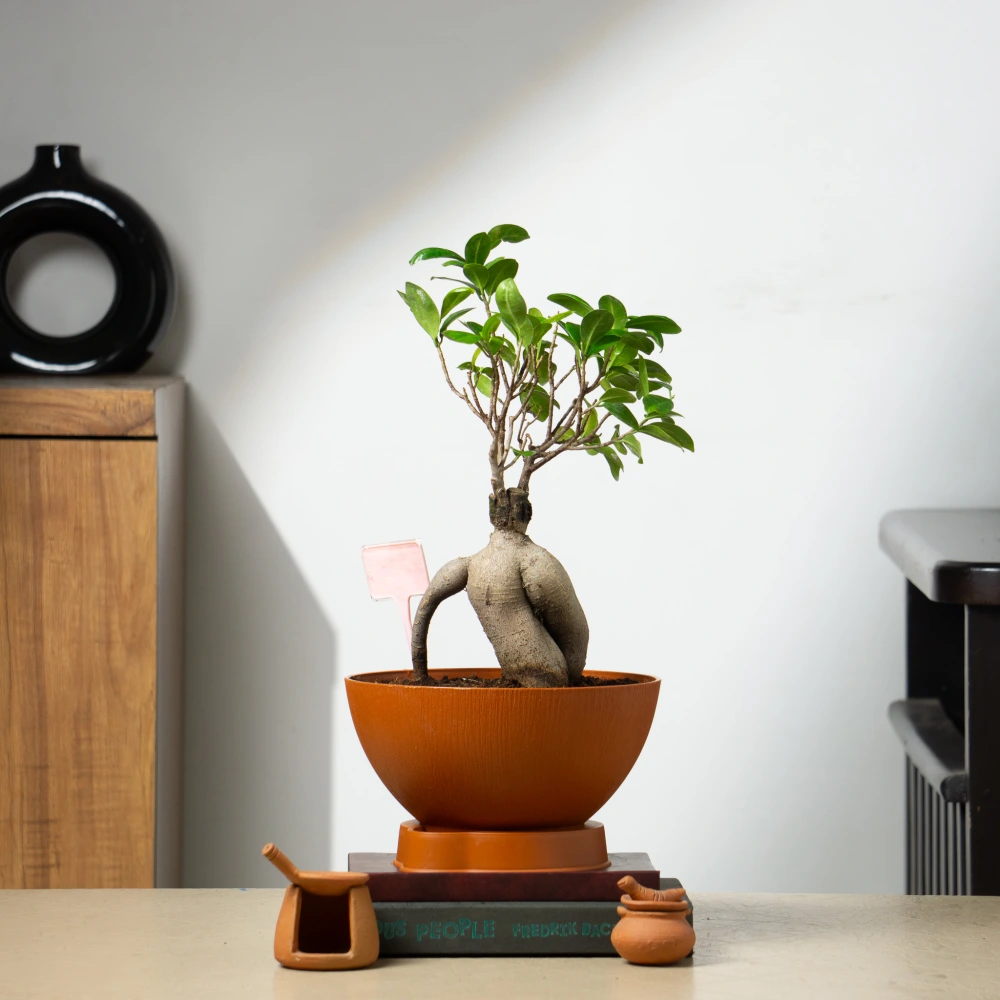 product-gallery