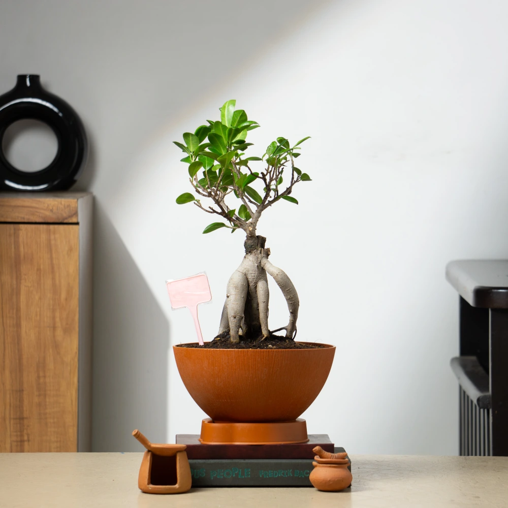product-gallery