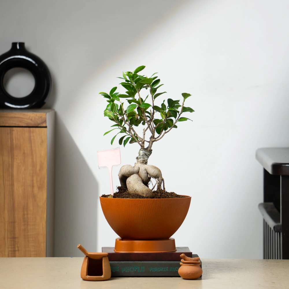 product-gallery