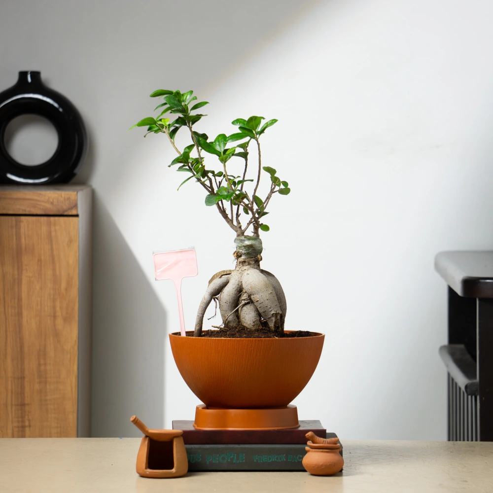 product-gallery