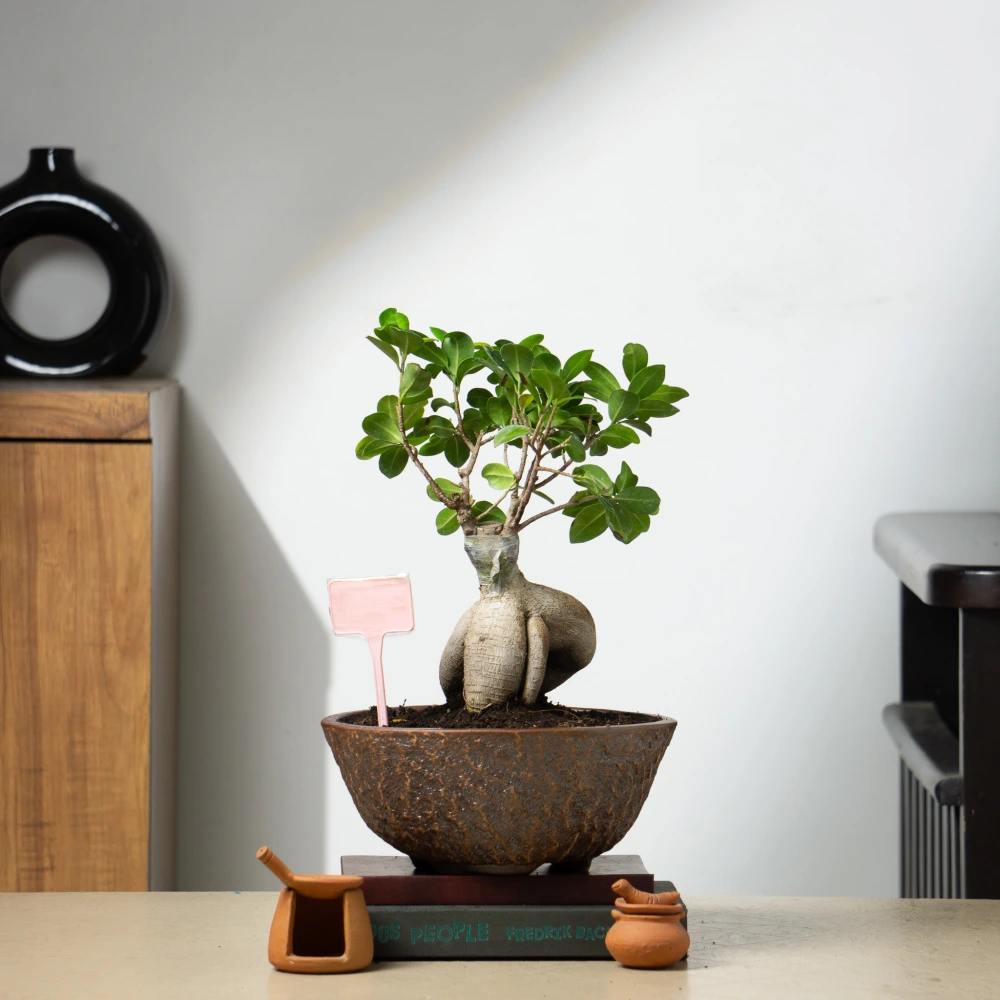 product-gallery