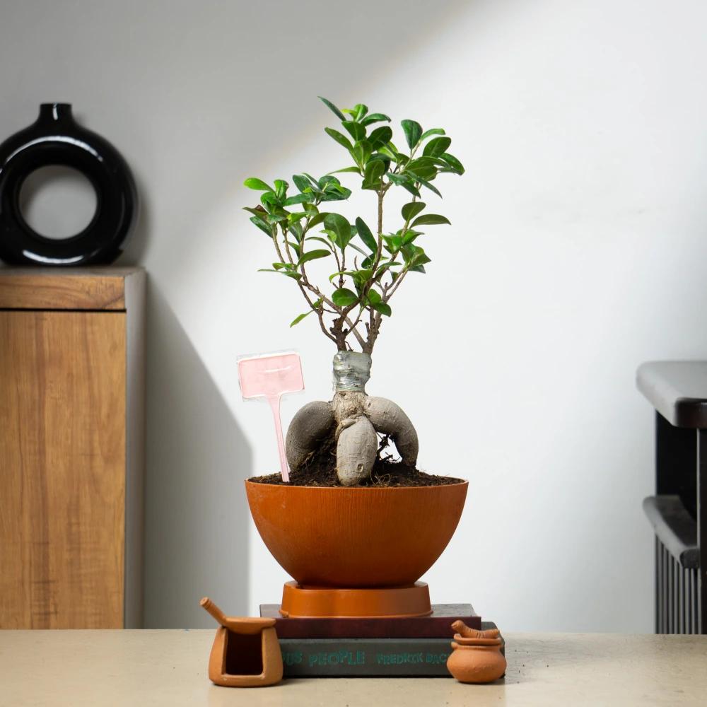 product-gallery