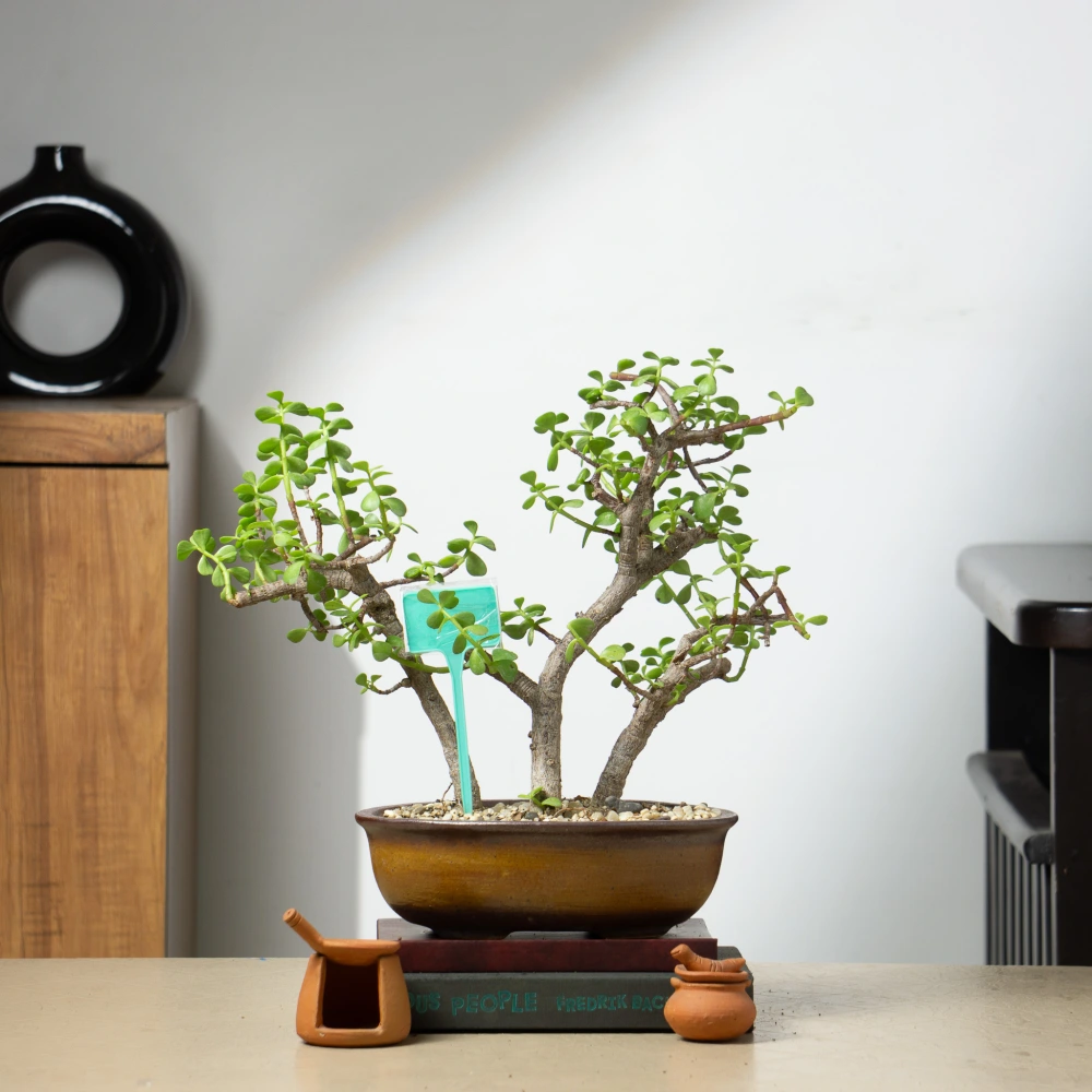 product-gallery