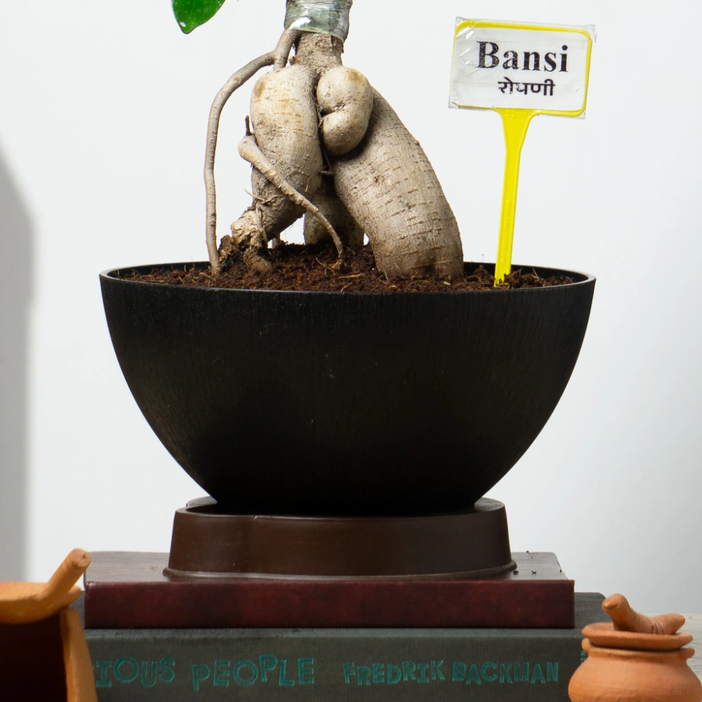 product-gallery