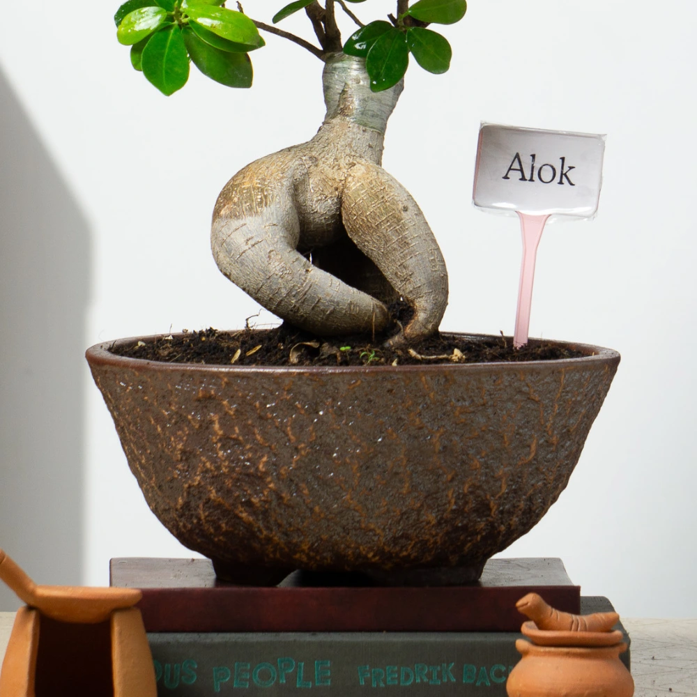 product-gallery