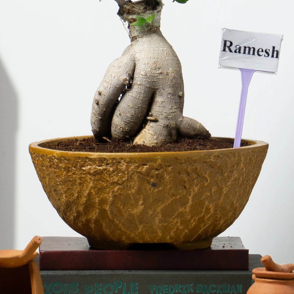 product-gallery