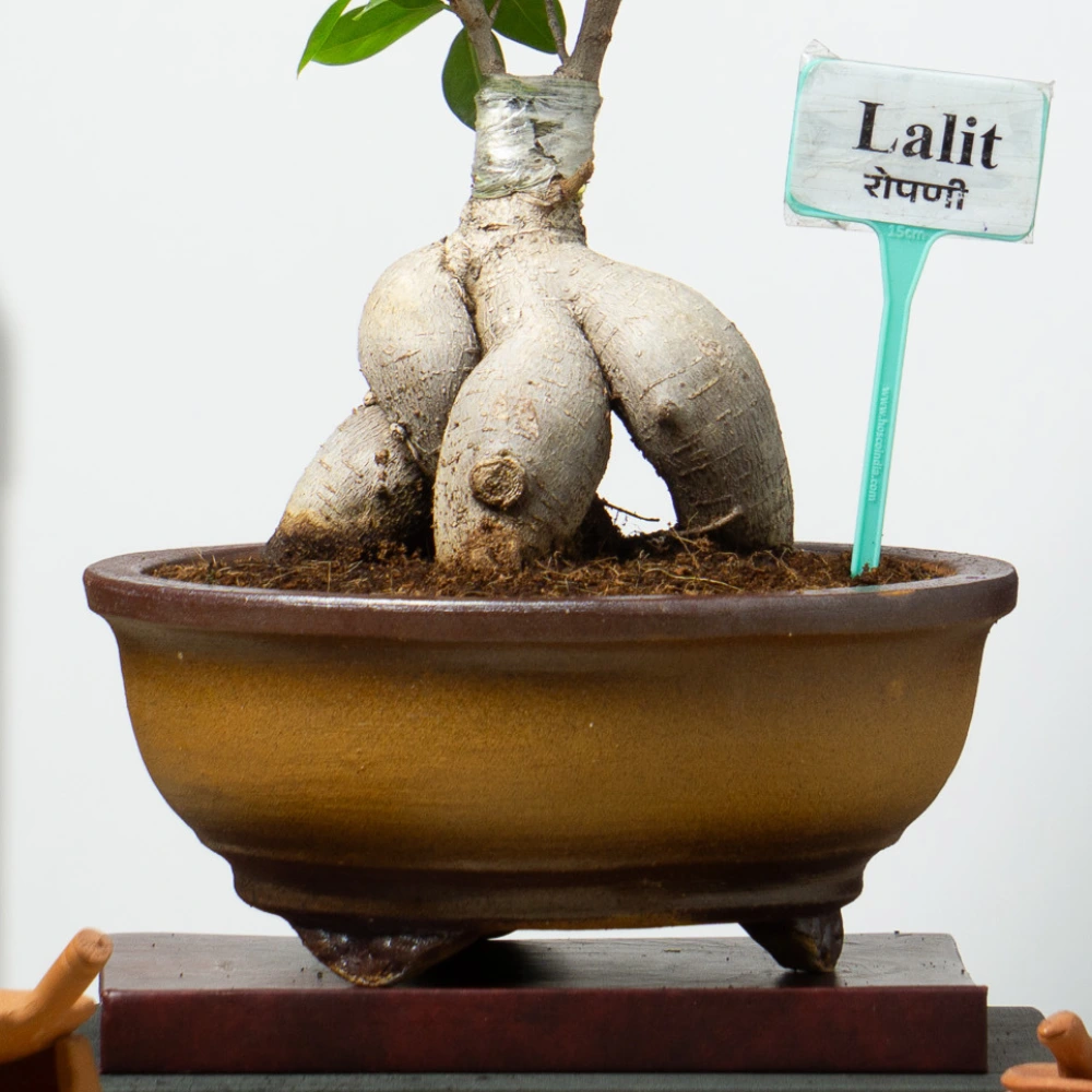 product-gallery