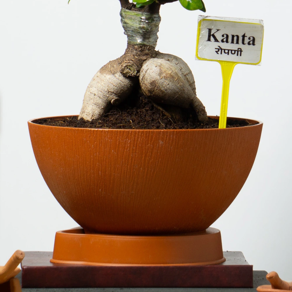 product-gallery