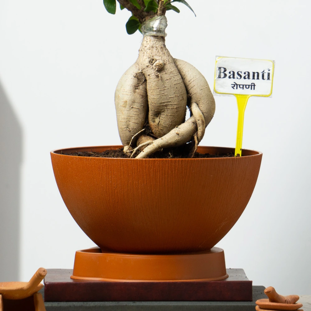 product-gallery