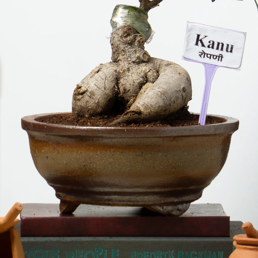 product-gallery