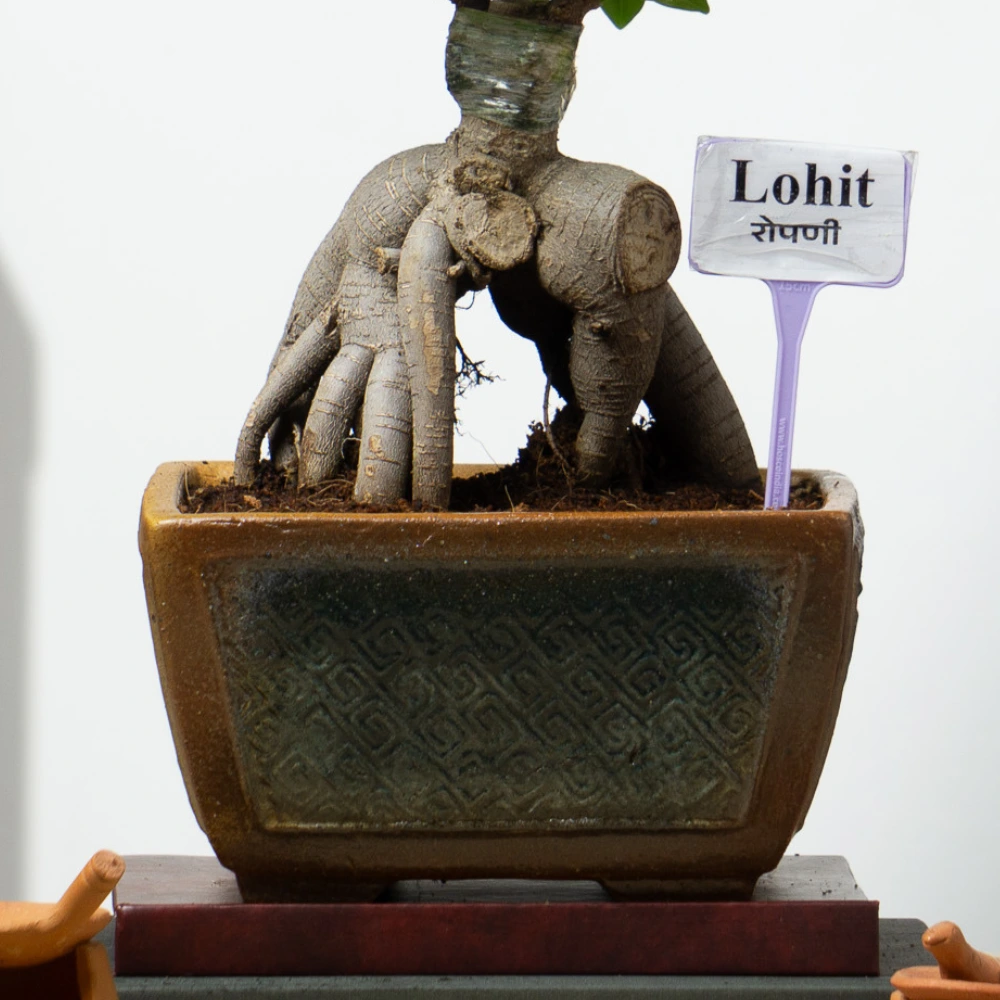 product-gallery