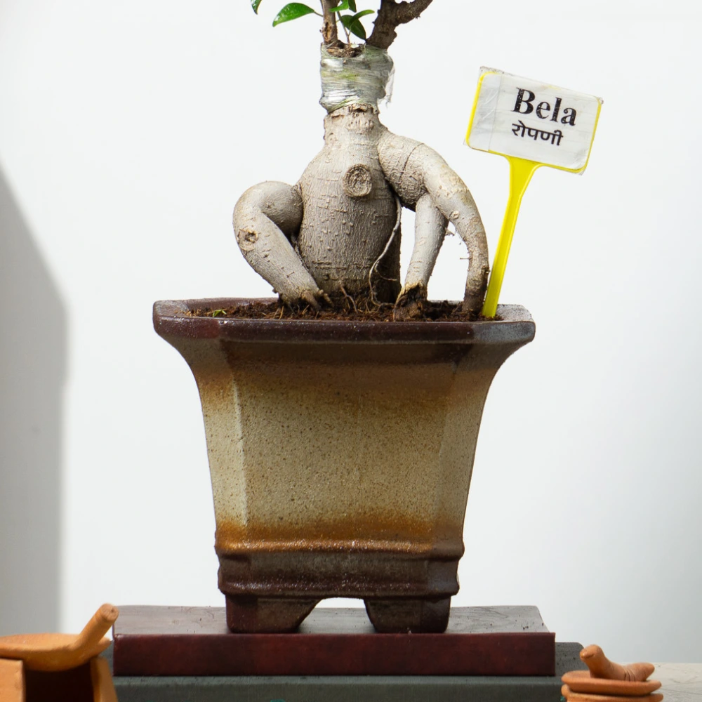 product-gallery