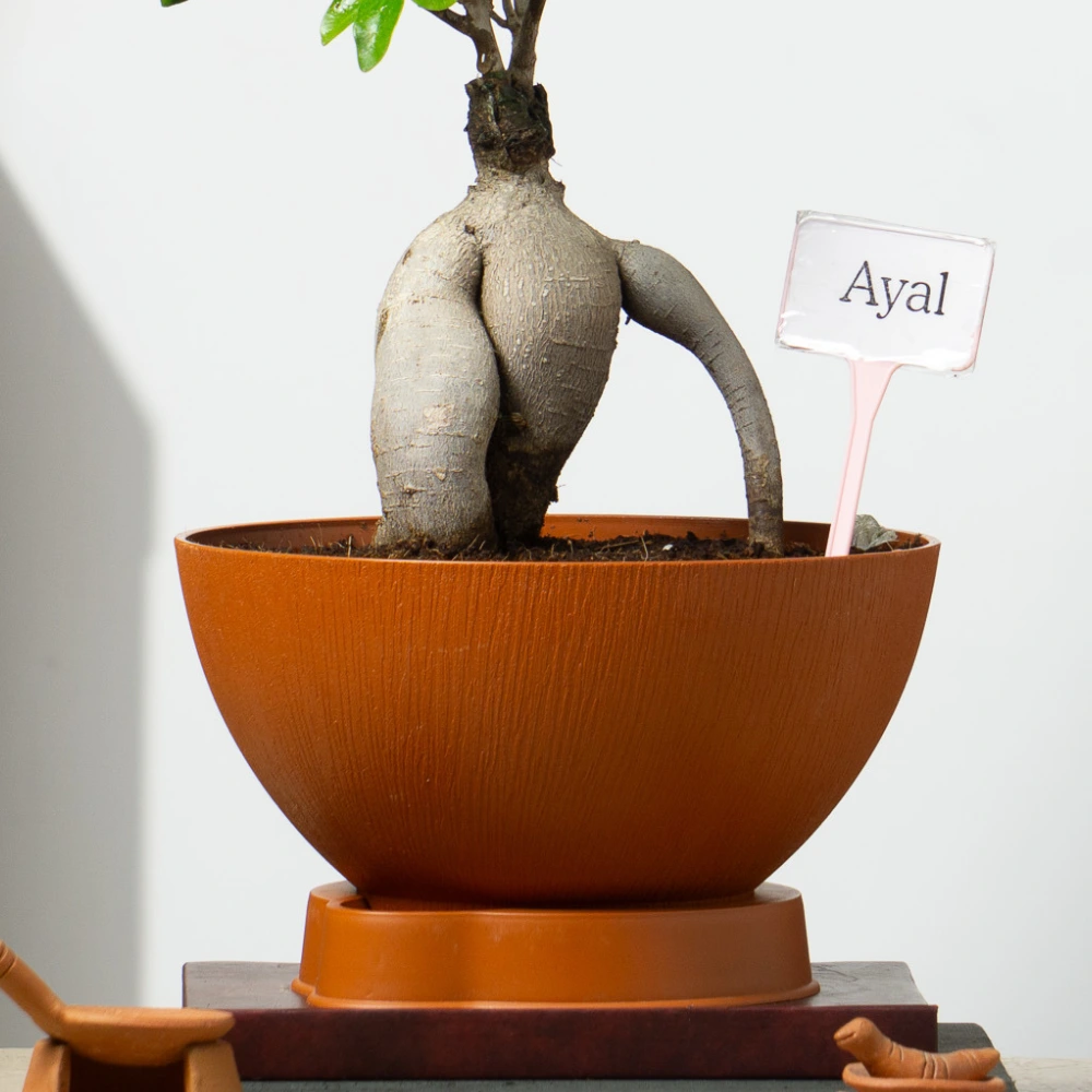 product-gallery