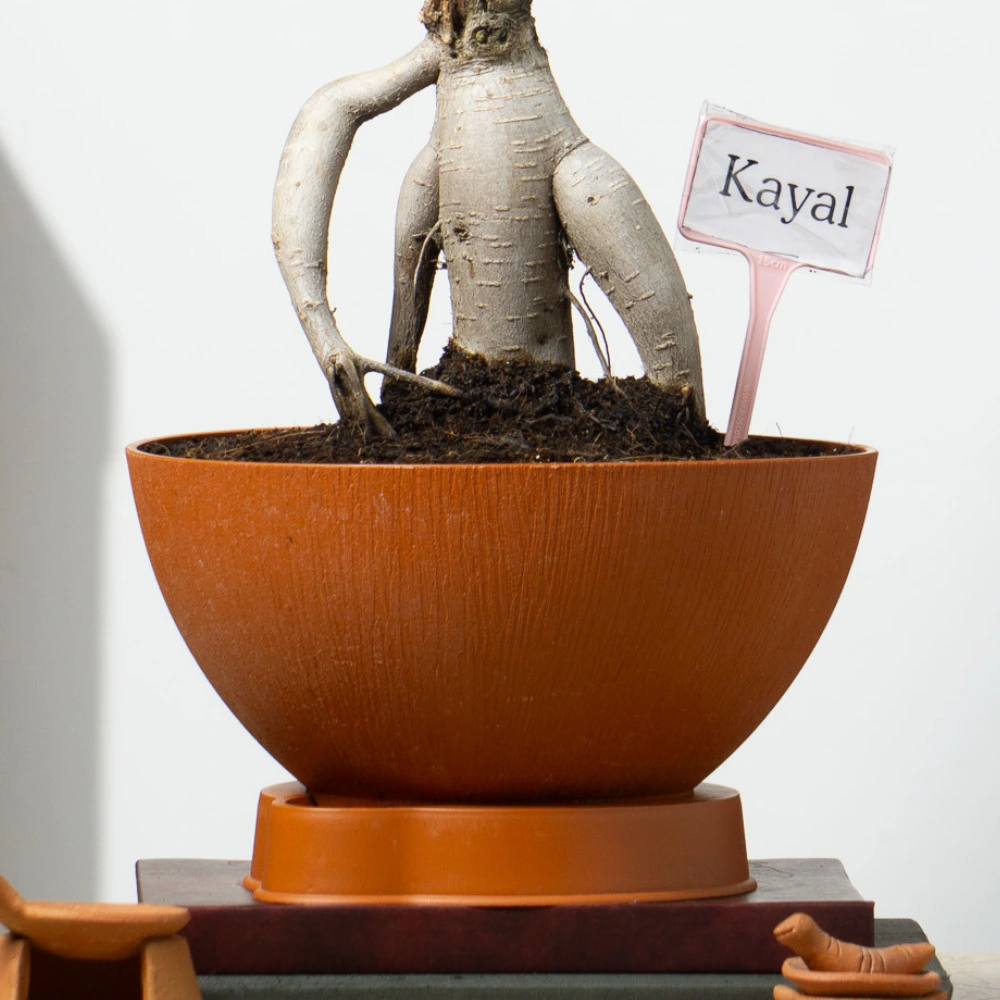 product-gallery
