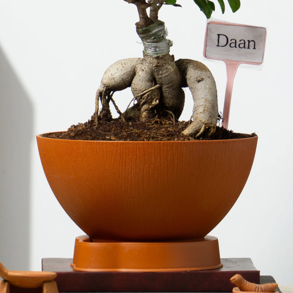 product-gallery