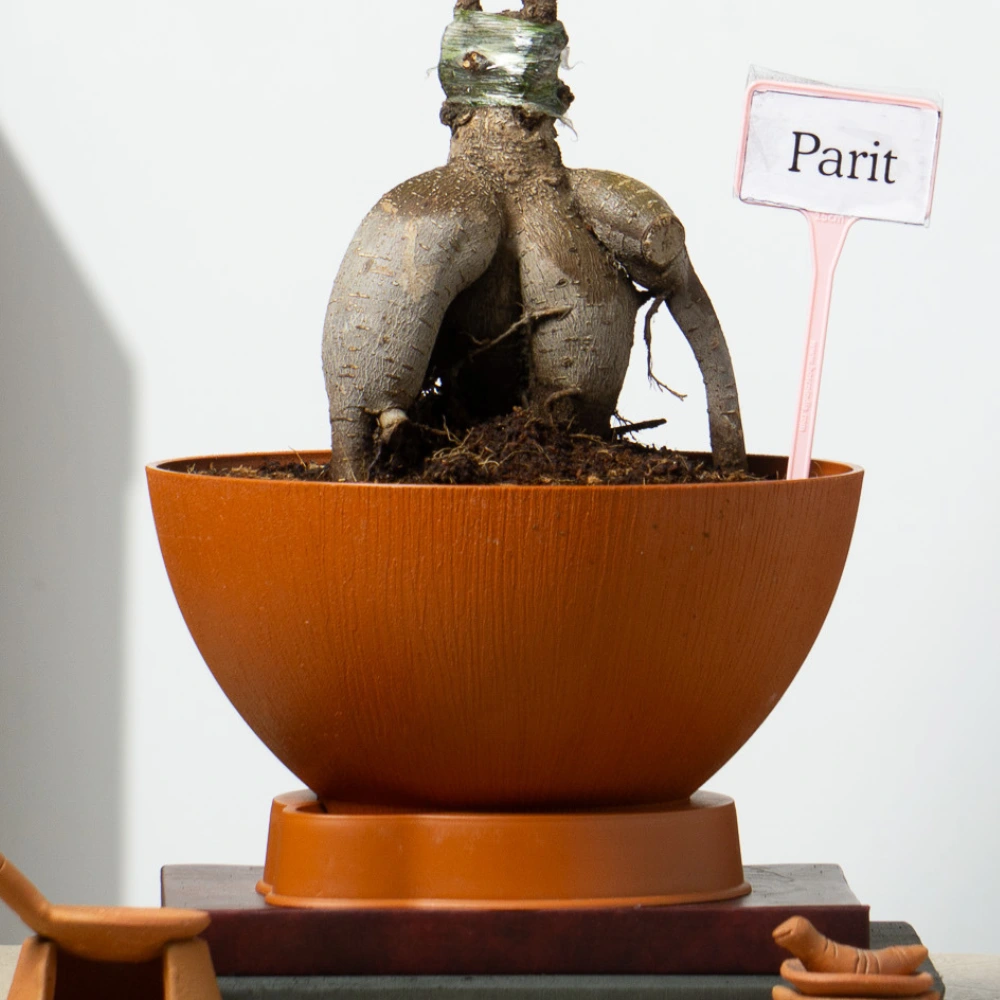 product-gallery