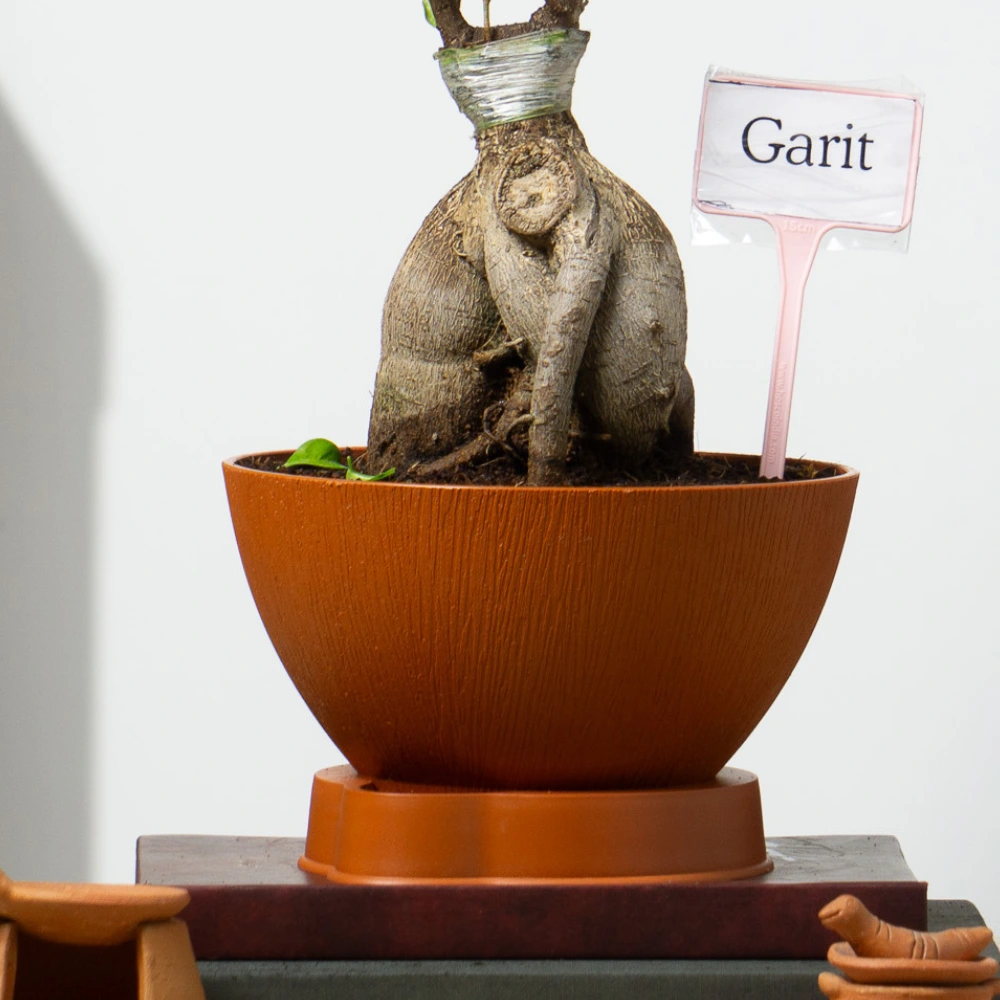 product-gallery