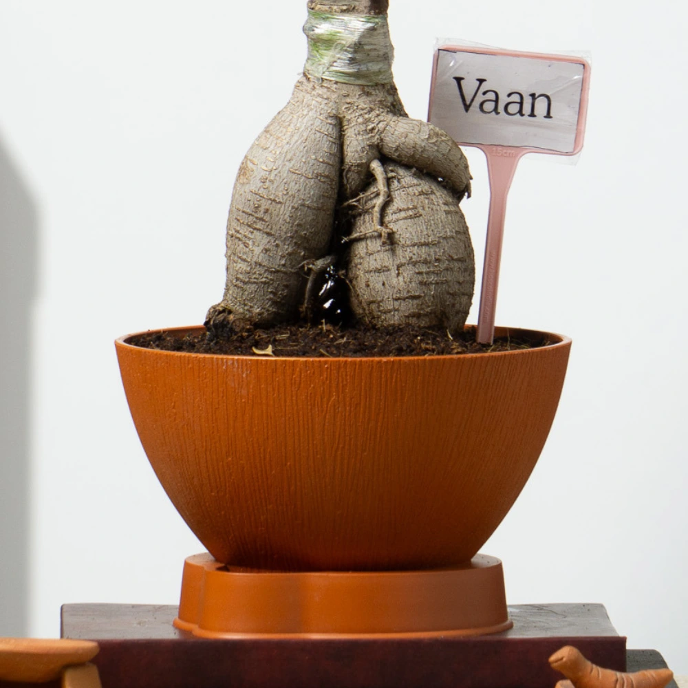 product-gallery