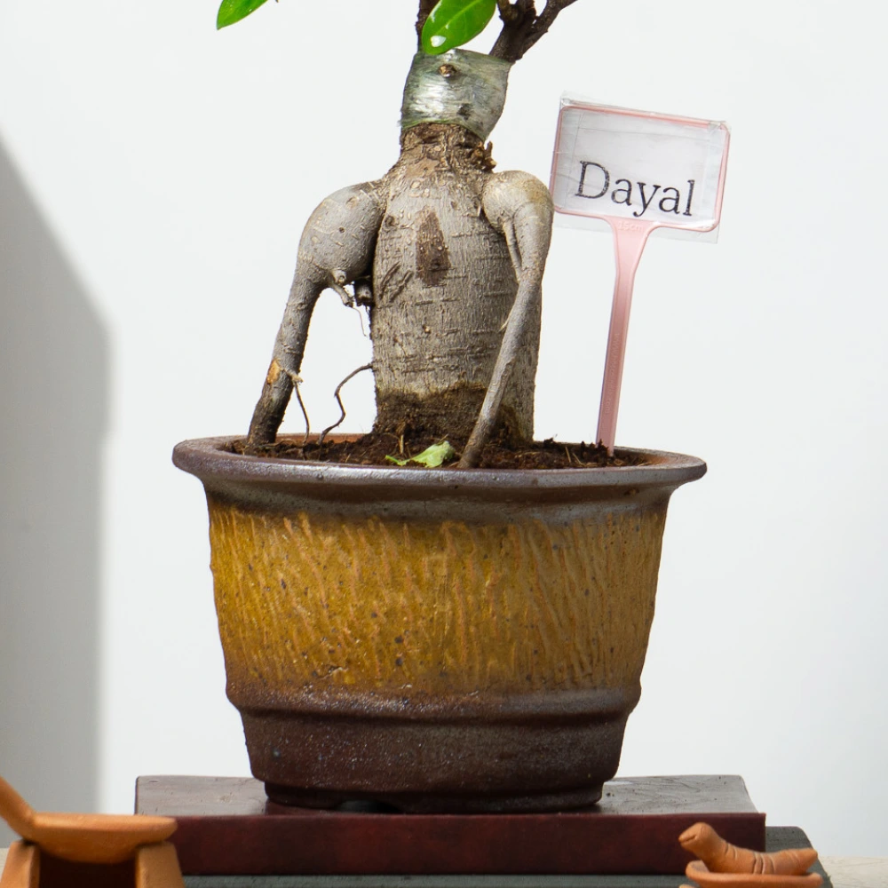 product-gallery