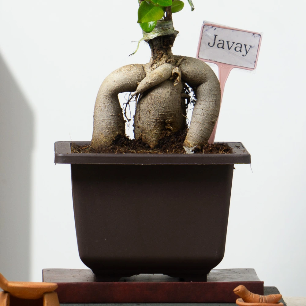 product-gallery