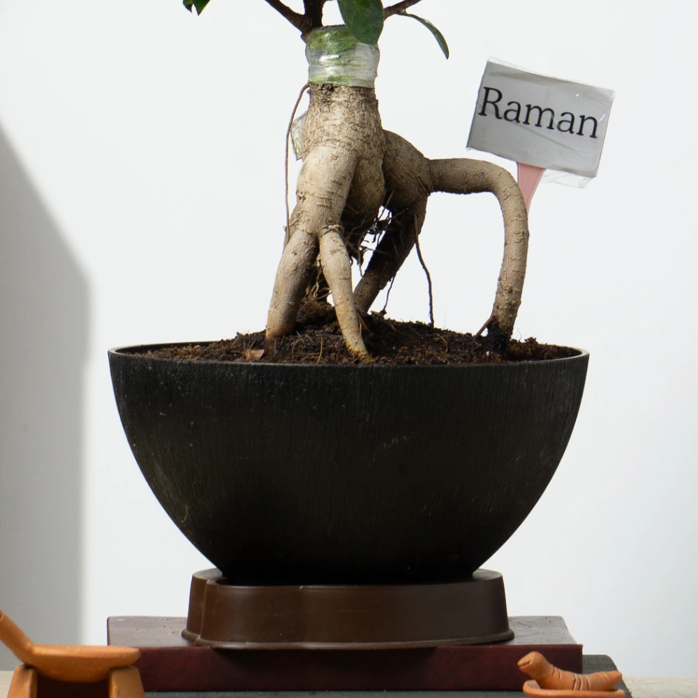 product-gallery