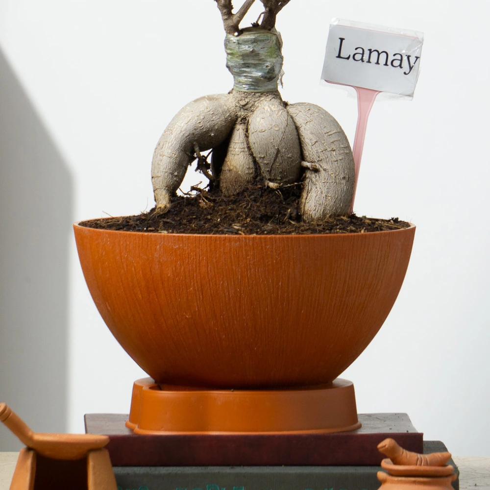 product-gallery