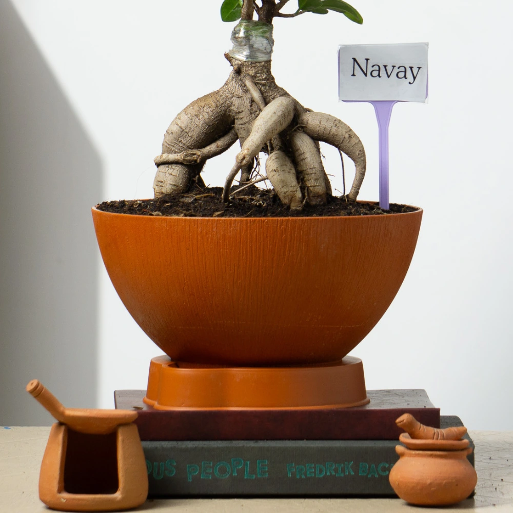 product-gallery