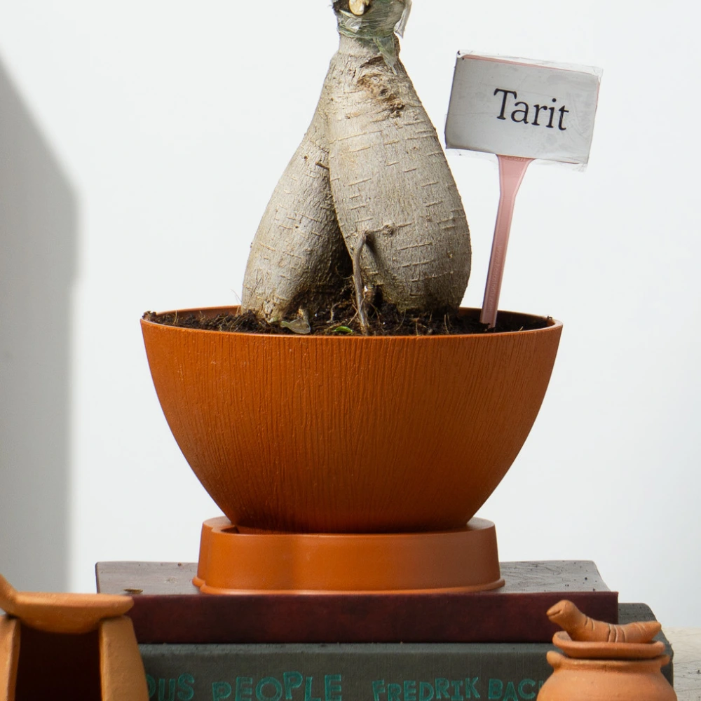 product-gallery