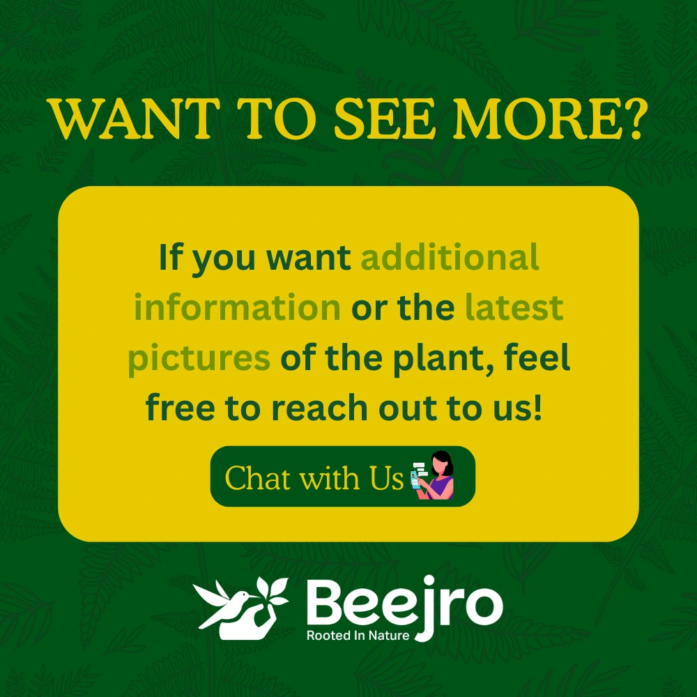 product-gallery
