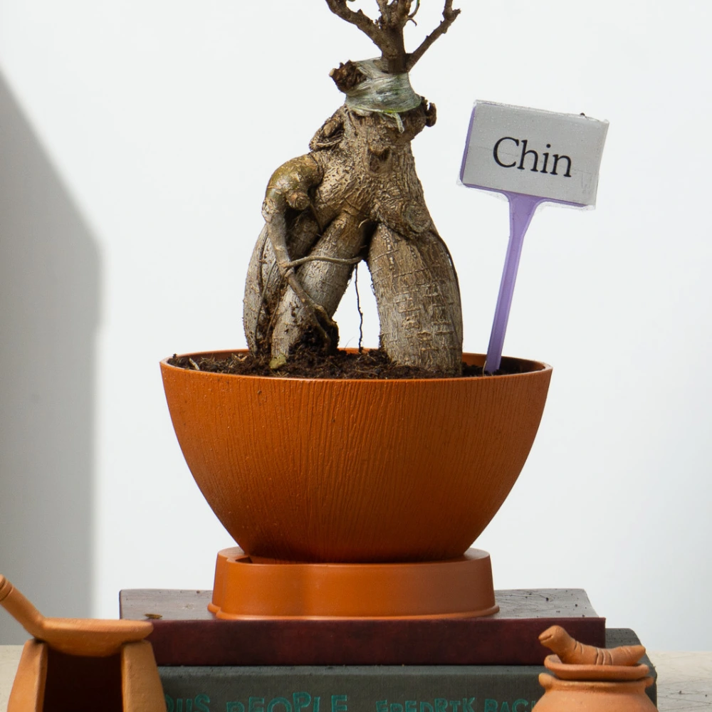 product-gallery