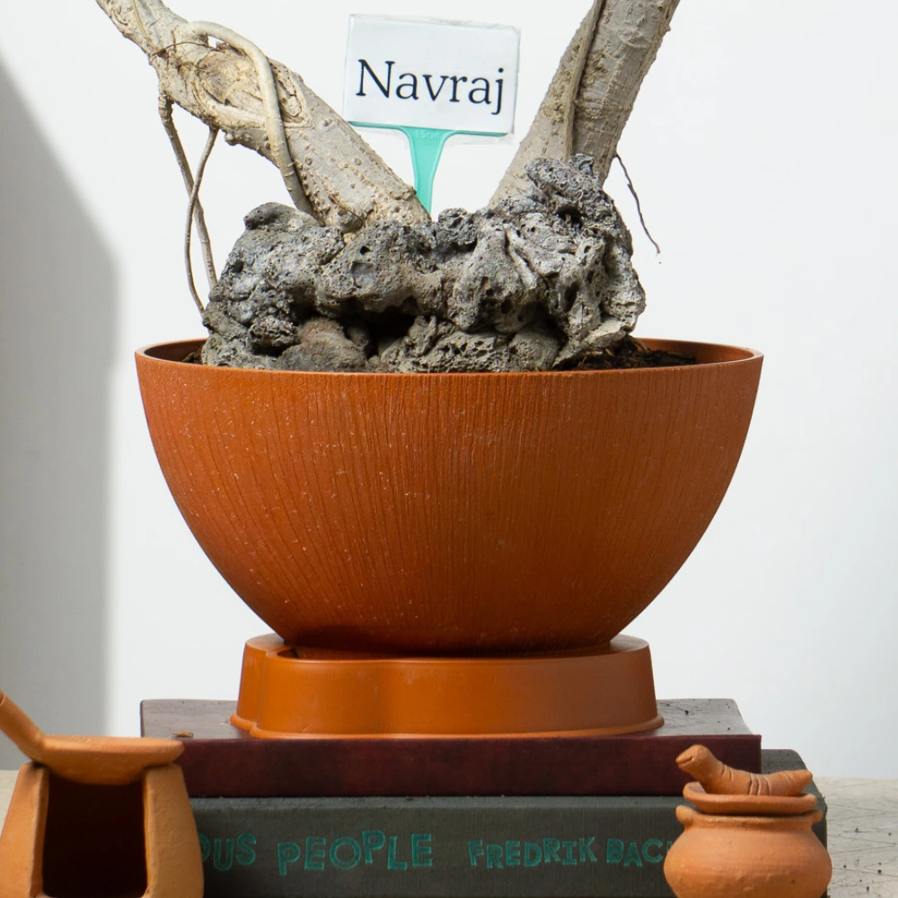 product-gallery