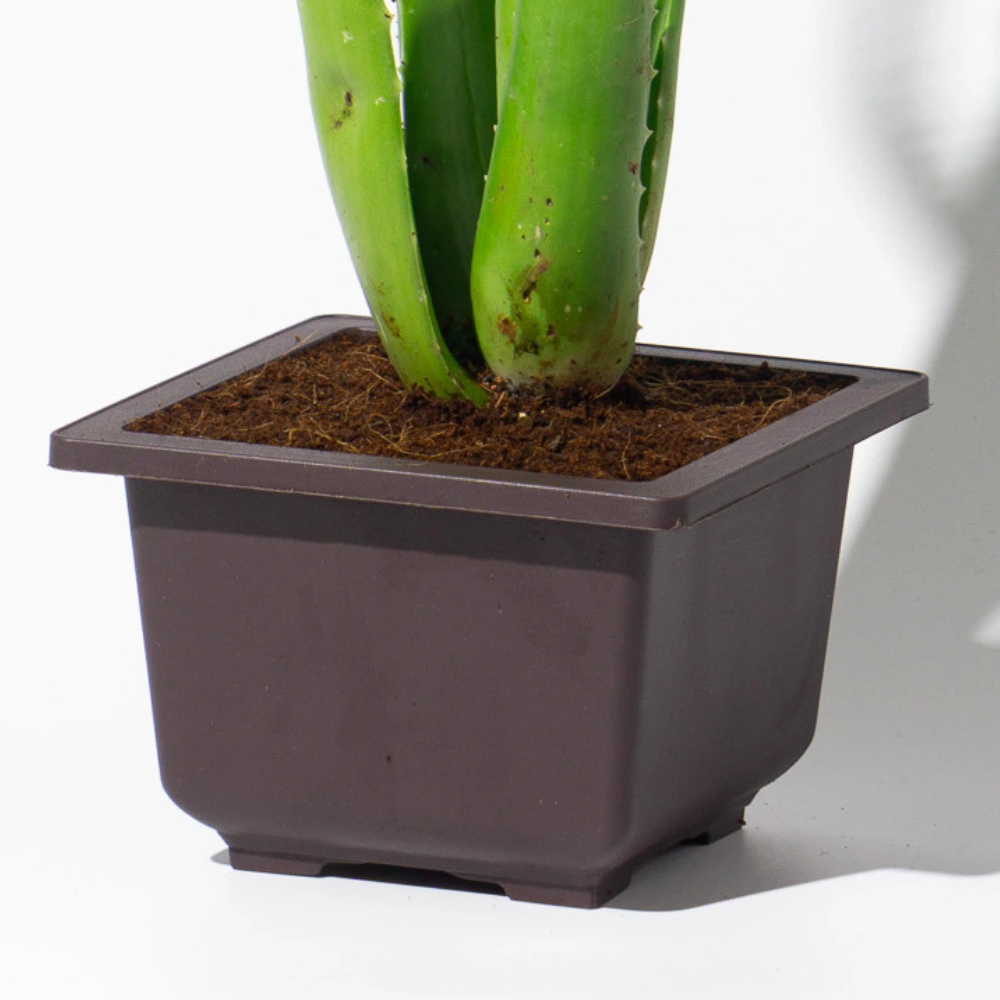 product-gallery