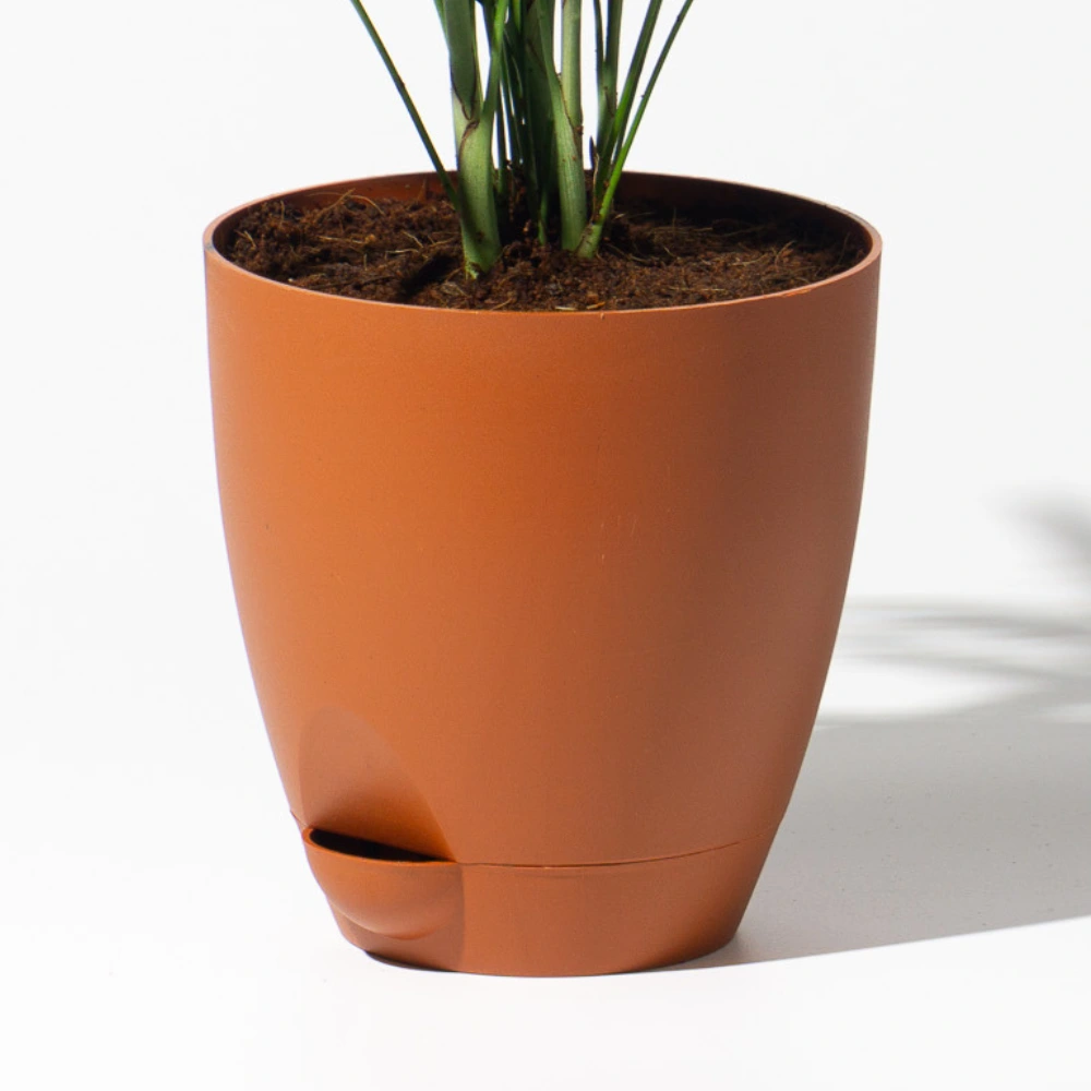 product-gallery
