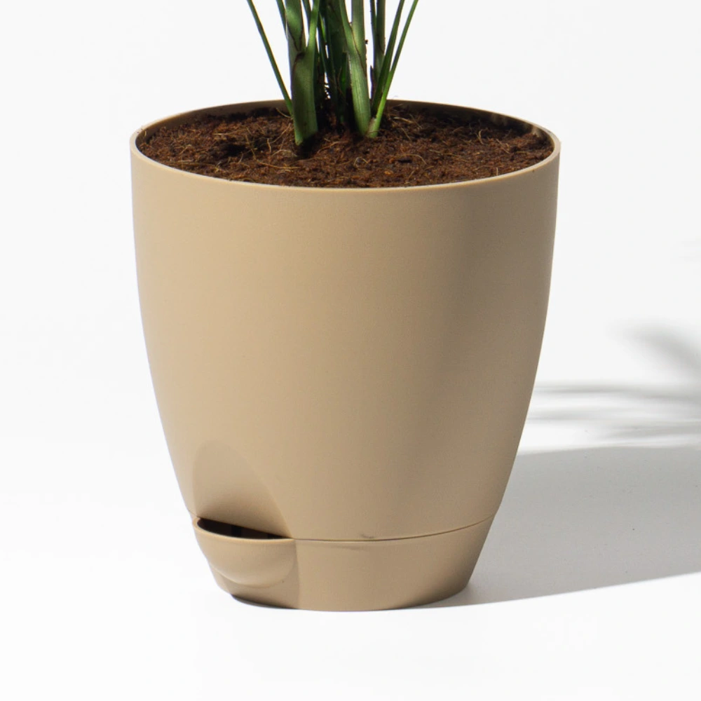 product-gallery