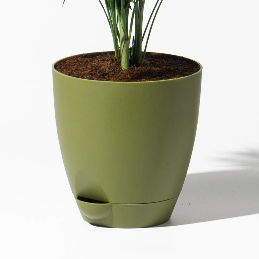 product-gallery