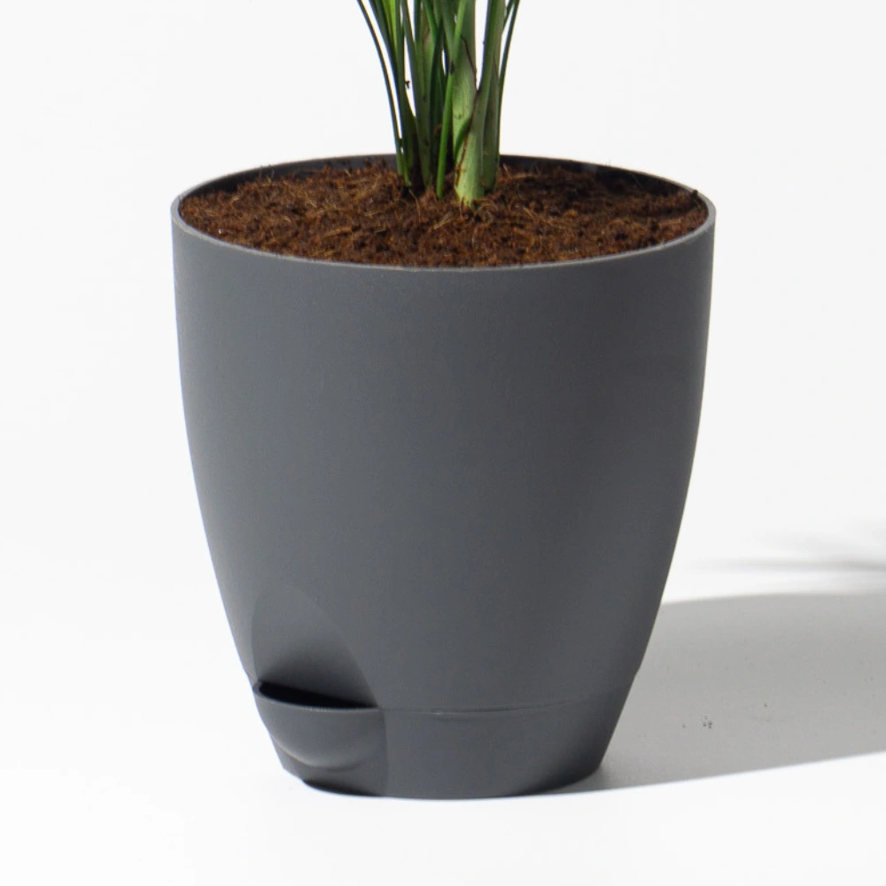 product-gallery