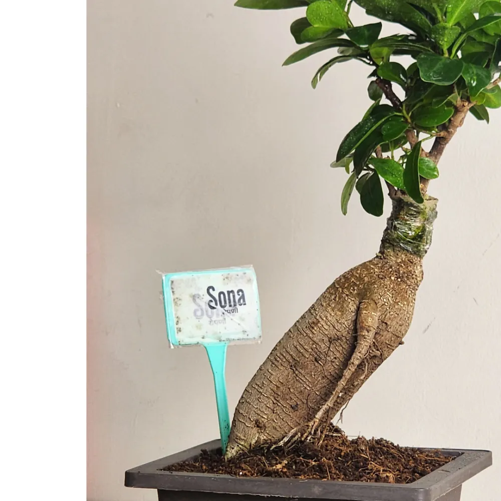 product-gallery