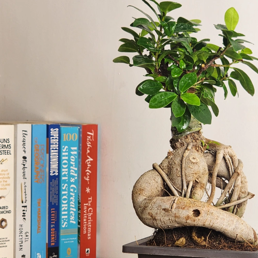 product-gallery