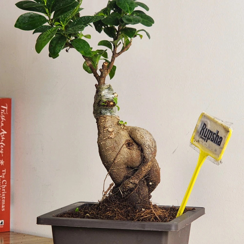 product-gallery